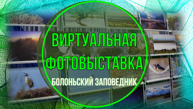 Виртуальная фотовыставка Болоньского заповедника