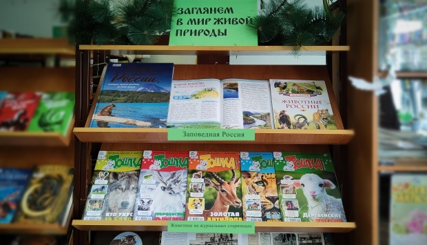 Книжная выставка «Заглянем в мир живой природы» открылась в Детской библиотеке-филиале № 14