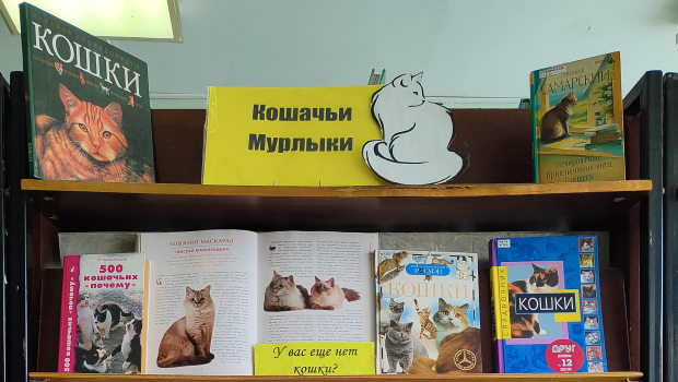Выставка «Кошачьи мурлыки» в Детской библиотеке-филиале № 14
