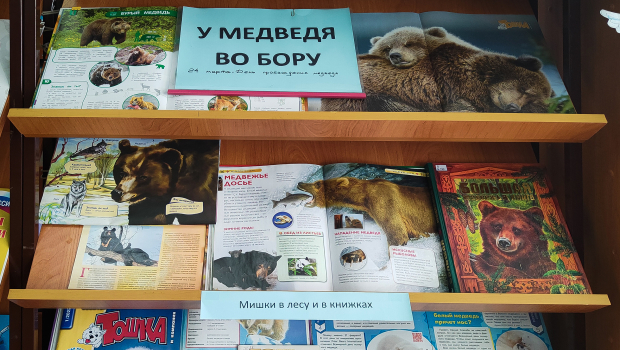 Книжная выставка «У медведя во бору» ко Дню пробуждения медведя