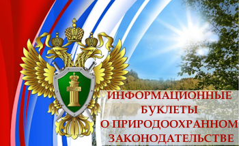 бук.png